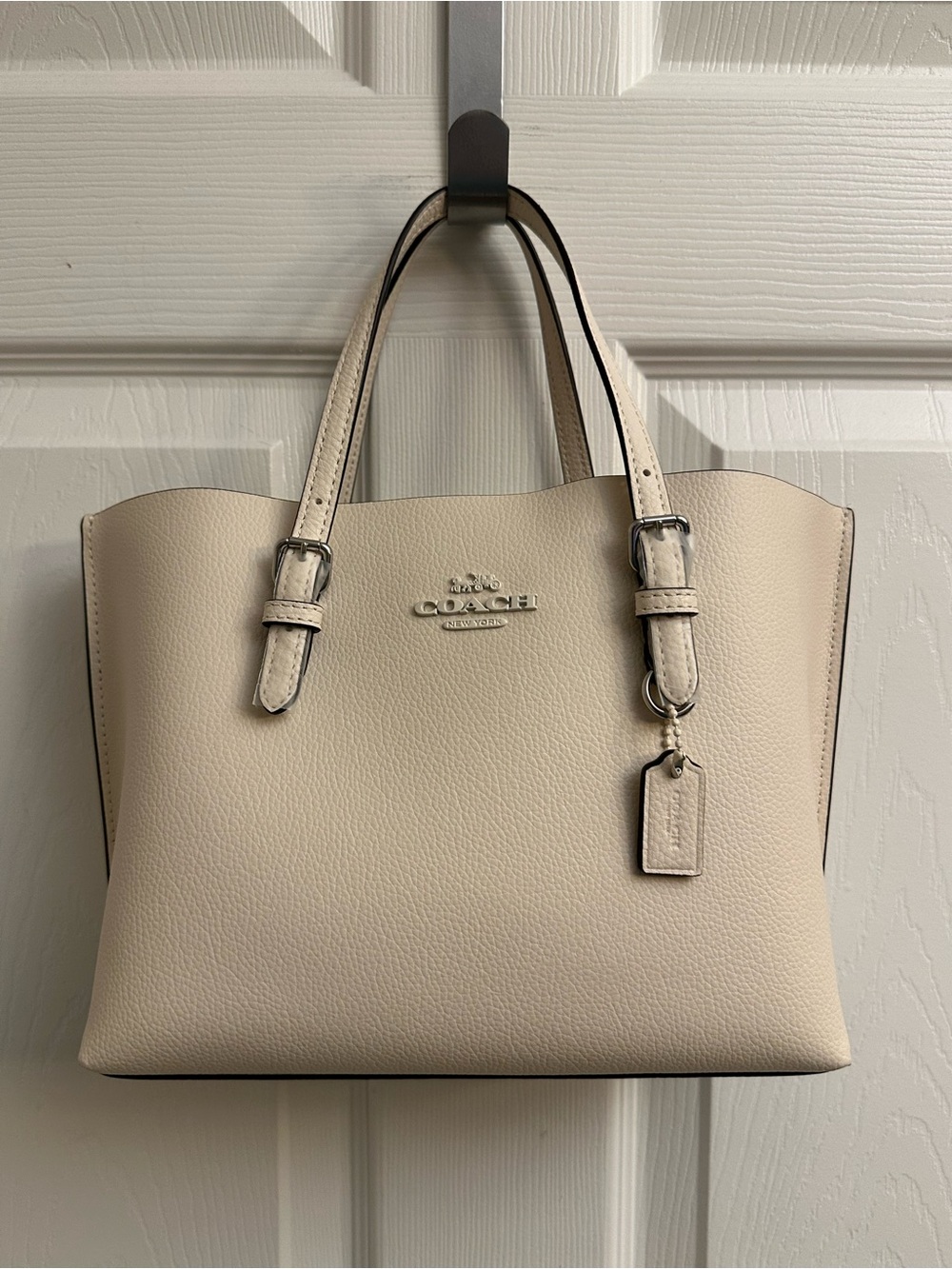 Coach Chalk Pebbled Leather Mollie Tote Bag 25